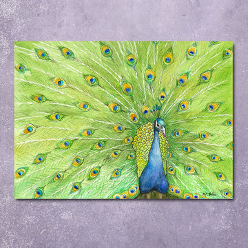 Greeting Card: Peacock Splendor