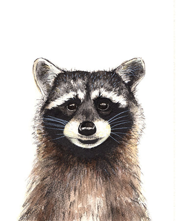 Racoon