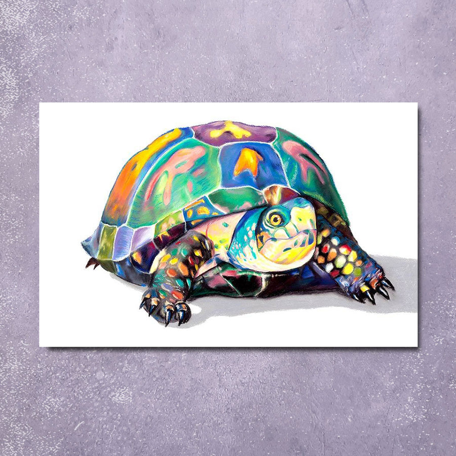 Greeting Card: Candy Turtle