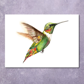 Greeting Card: Hummingbird Love