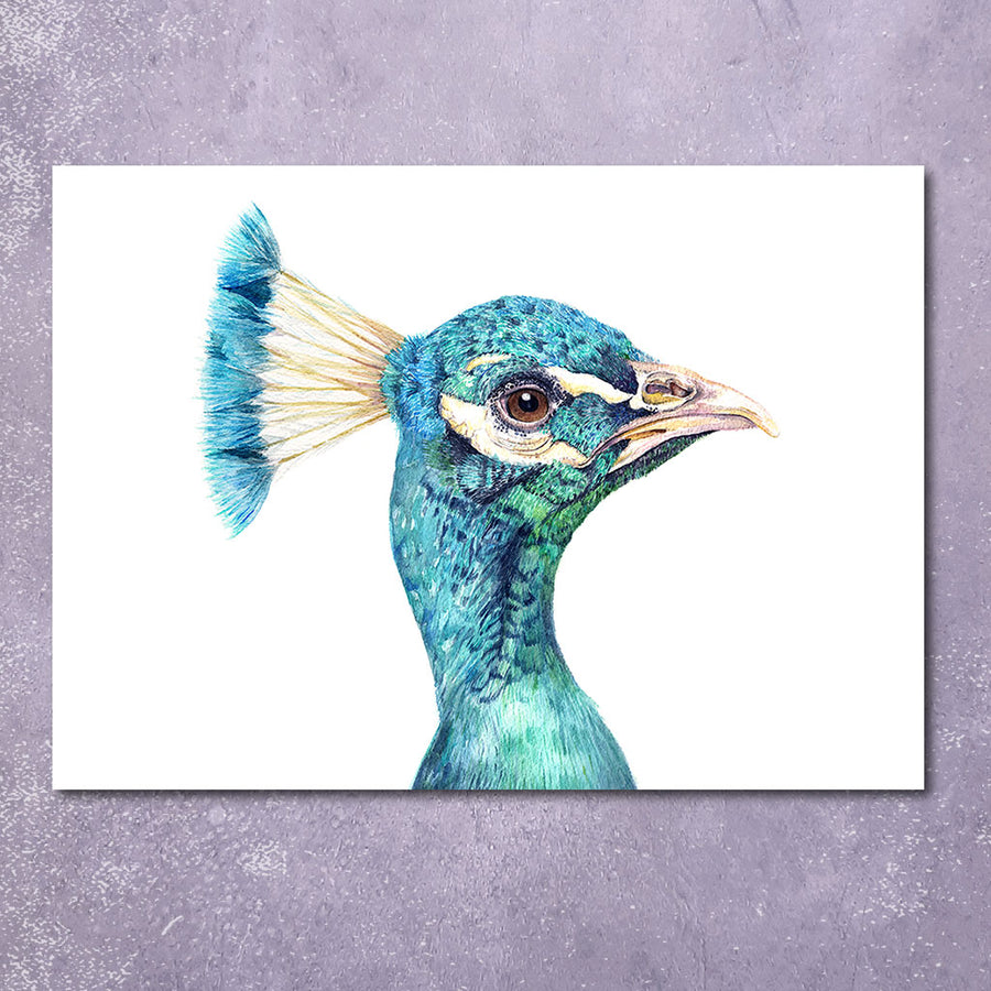Greeting Card: Peacock Portrait