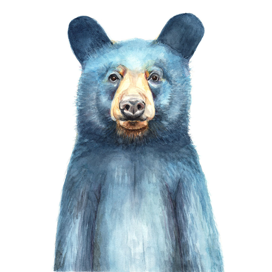 Mr. Blue Bear