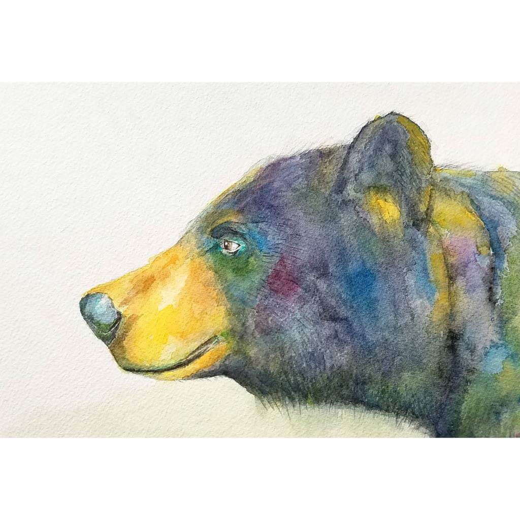 Golden Nose Bear