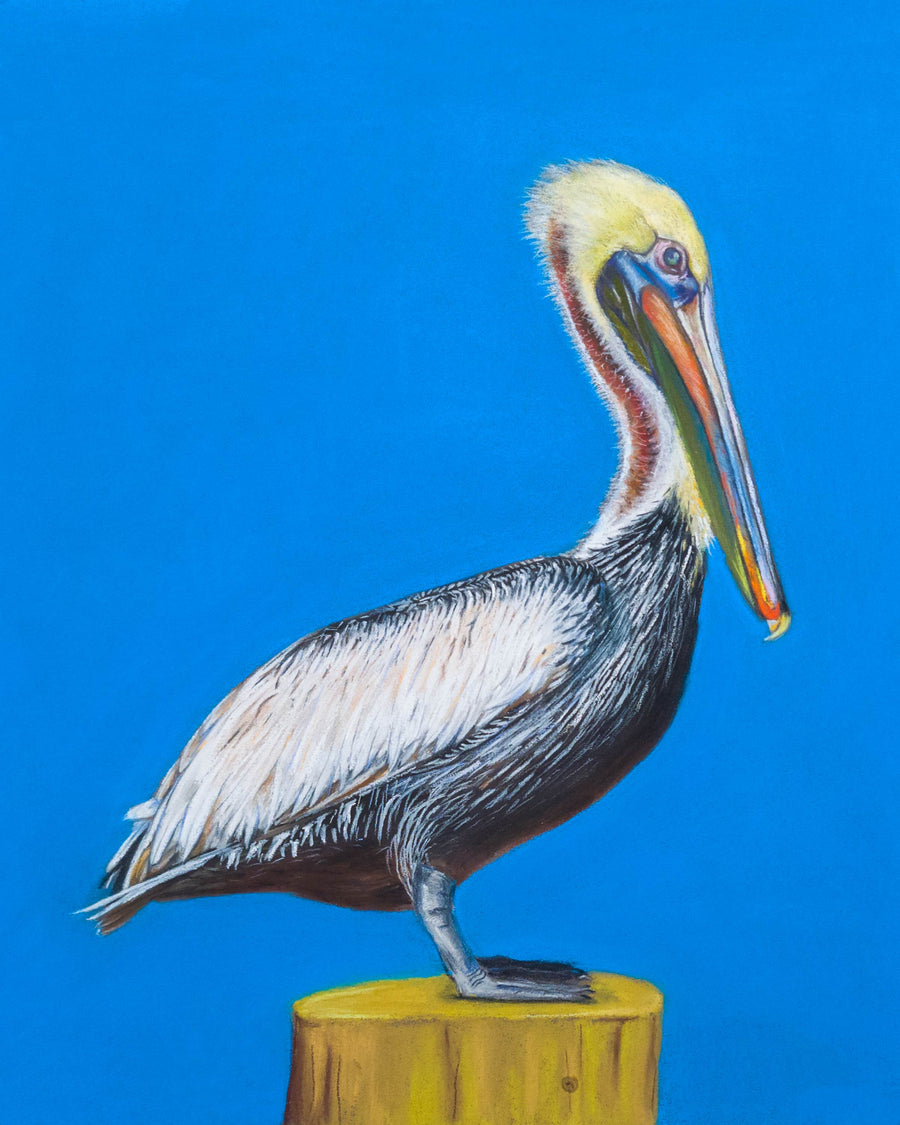 In the Blue: Pelican - Original Pastel