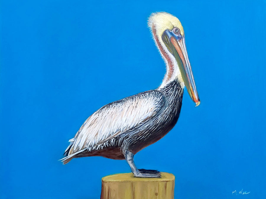 In the Blue: Pelican - Original Pastel