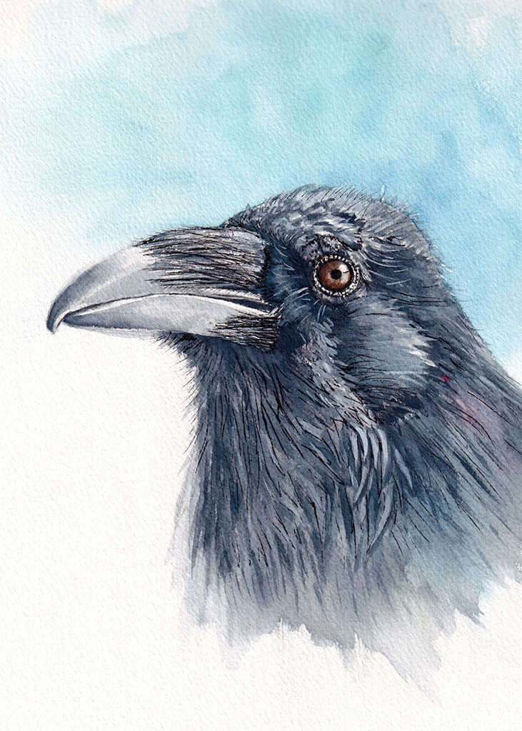 Raven