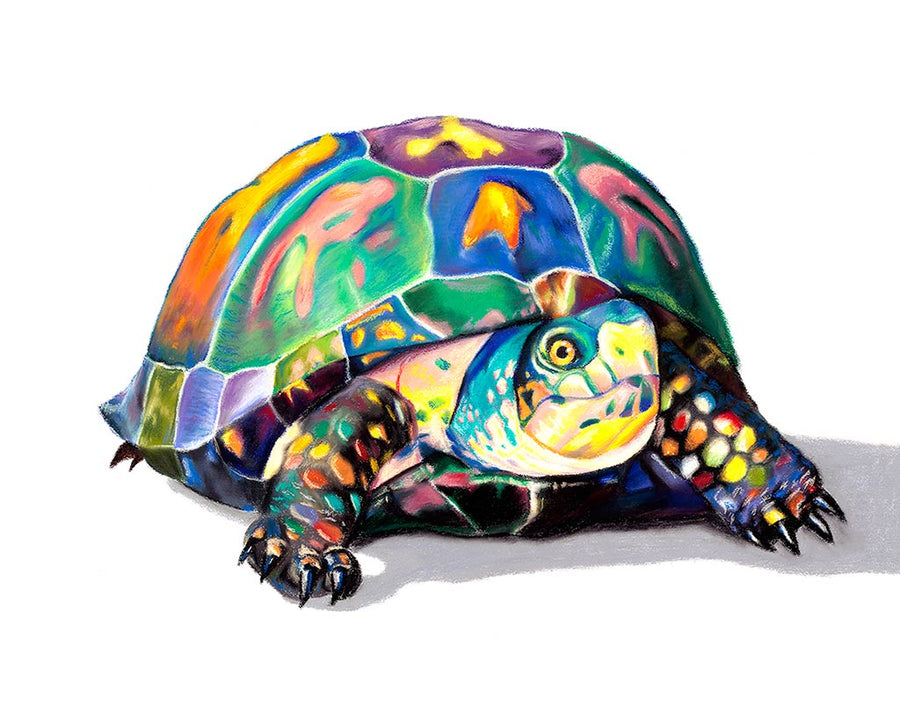 Candy Turtle: Greeting Card Set