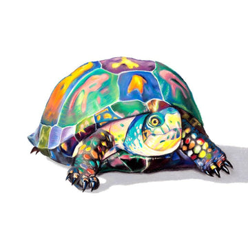Multicolored box turtle drawn in pastel