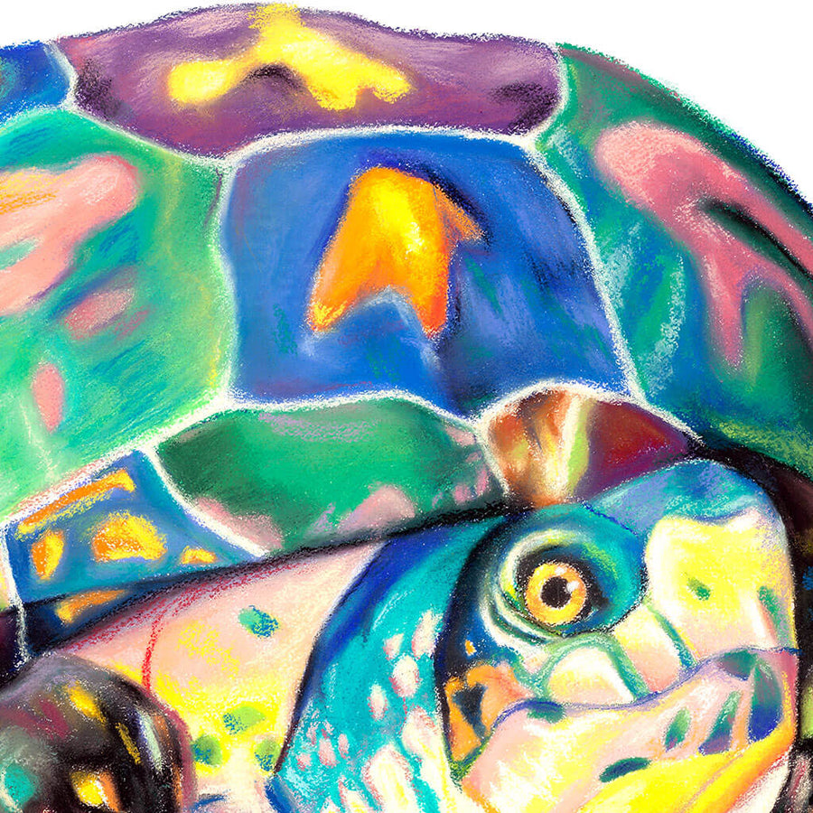 Close up shot of colorful turtle pastel drawing