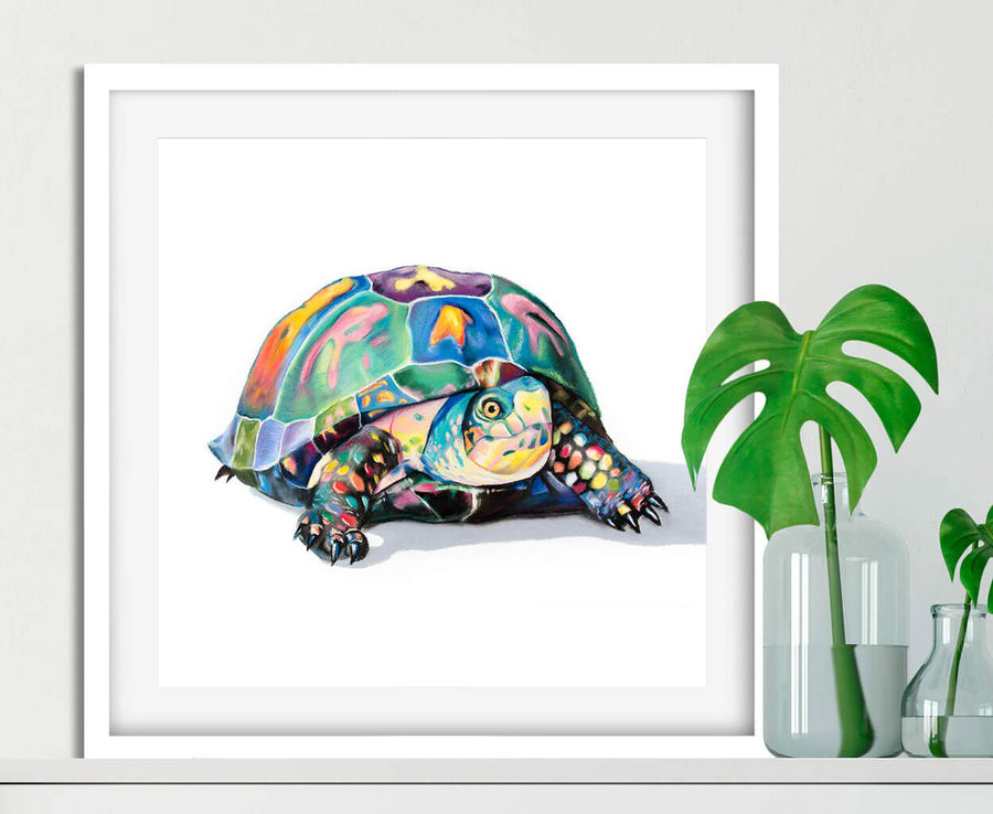 Multicolored box turtle drawn in pastel in white frame
